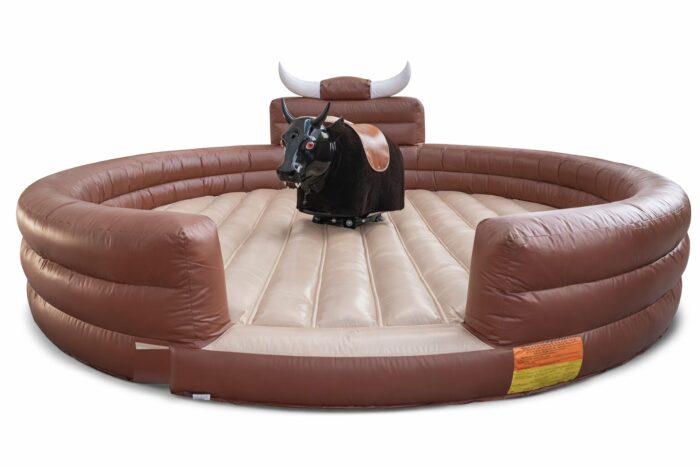 Economy series mechanical bull slightly better than the ones available in china. Recomended for lite use and family use.